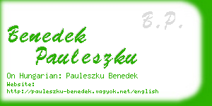 benedek pauleszku business card